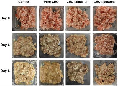 Comparative study of a liposome and emulsion system with cinnamon essential oil on the quality and proteolysis of refrigerated minced pork